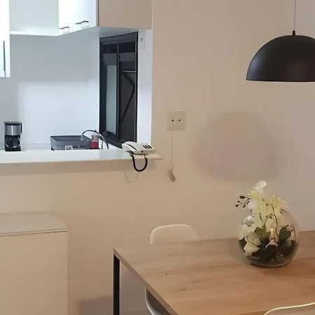 Apartamentos Em Laranjeiras: Seu Refugio Urbano Com Piscina E Academia